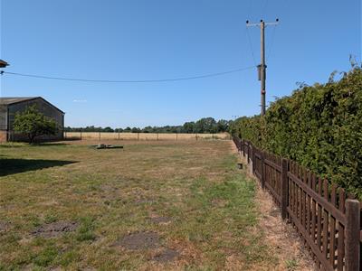 Picture 12